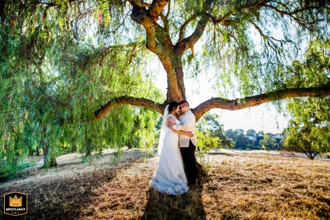 Heather Farm Park Wedding: Bride and Groom Embrace a Timeless Love Story Wedding portraits of the bride and groom embracing next to a lone, old tree at Heather Farm Park.