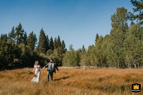 Walking Under Blue Tahoe Skies, Forever Surrounded by Evergreens A wedding photographer documents a sun-drenched walk in South Lake Tahoe, California. The image shows the couple walking through a dry, open field under a blue sky, surrounded by green pine trees.