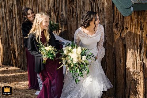 Bride’s Shy Glimpse Behind a Rustic Fence in South Lake Tahoe In South Lake Tahoe, California, a wedding photographer captures a shy and tender moment. The bride peeks from behind a rustic wood fence, her face expressing the quiet anticipation of her outdoor ceremony.