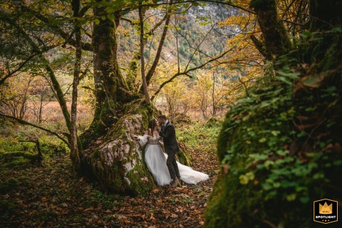 Enchanted Forest Romance: Bride And Groom Pose On Mossy Rock Among Trees Bavarian forest wedding portrait: bride and groom pose on a mossy rock, surrounded by trees.