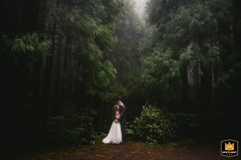 Magical Azores Wedding Embrace: Couple Hugs Amidst Mystical Foggy Forest Setting Wedding embrace in the Azores, Portugal: bride and groom hug amidst a mystical, foggy forest.