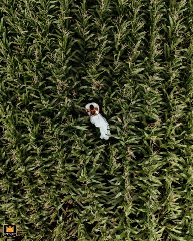 Lost In A Cornfield: A Couple's Love Story In Portugal Drone shot: couple lost in a cornfield at Quinta da Granja, Barcelos, Portugal.