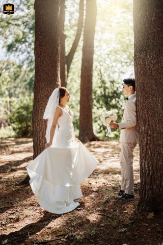 Long Island Bride And Groom Embrace Amidst A Serene Grove Long Island wedding portrait: bride and groom stand embraced within a serene grove of towering trees.
