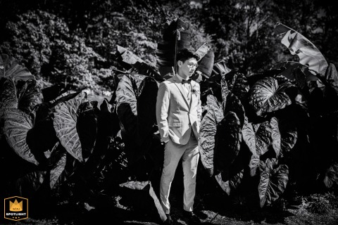 Long Island Groom, A Black And White Portrait In Foliage Black and white portrait of the groom on Long Island, standing beside lush foliage.
