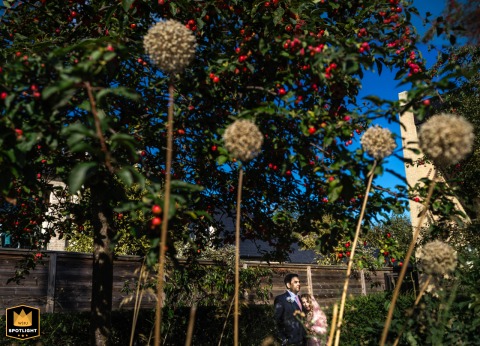 London Garden Romance: A Beautifully Manicured Setting For Their Wedding Portrait In London, England, the wedding couple poses for a romantic portrait set within the lush, beautifully manicured gardens of their ceremony location.