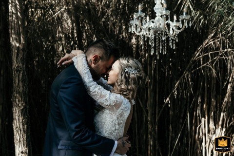 Bride and Groom Stand Closely Amid Lush Bamboo Stalks in Cesenatico, Italy Antico Casale, Cesenatico, Italy, is the setting where the bride and groom stand closely together amid the lush green stalks of a dramatic bamboo bush on their wedding day.