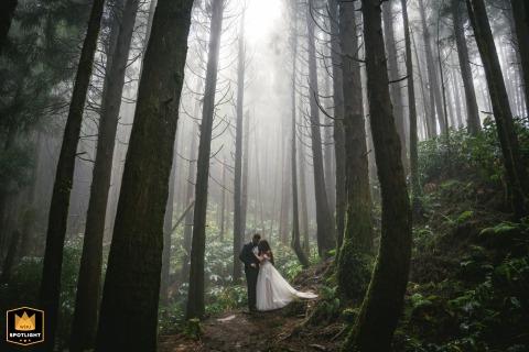 Bride and groom posing in a dramatic, foggy forest in the Azores, Portugal.