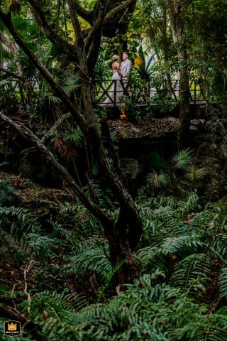 Portrait of the bride and groom nestled in lush green jungle foliage in Tulum.