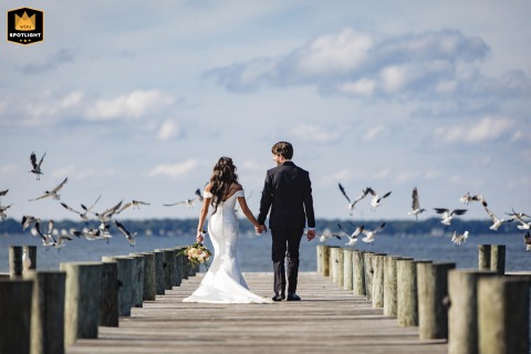 At Herrington on the Bay, North Beach, MD, the bride and groom walk along the wooden pier just after their ceremony, sending gulls scattering into the sky as they enjoy their beautiful waterfront surroundings.