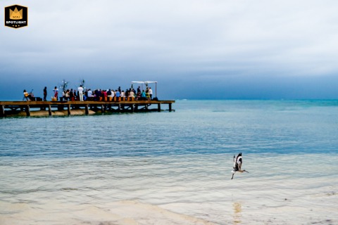   In Tulum, with an ocean view in the background, a bird soars above the scene, adding a sense of freedom and natural beauty to the ceremony atmosphere.