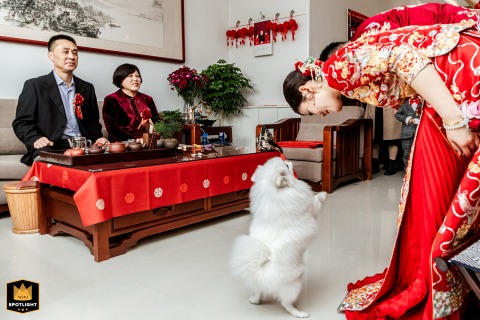   During a heartfelt bow to their parents at home in Shandong, China, the couple’s loyal dog gently looks on, sharing in the significance of the family ritual.