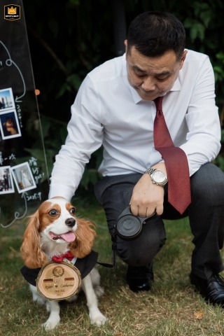 Father Of The Bride And Family Dog Share A Tender Exchange At Intercontinental Shanghai Ruijin China The father of the bride and the family dog share a tender exchange at Intercontinental Shanghai Ruijin, Shanghai, with the dog’s tag engraved for the special wedding day.