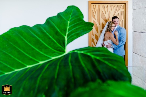 Lush Tropical Foliage Frames A Couple Sharing A Private Embrace In Beachfront Playa Del Carmen Mexico At Playa del Carmen, Mexico, a couple shares a natural embrace framed by lush foliage, the composition capturing both their connection and the tropical landscape that surrounds them in this quiet wedding setting.