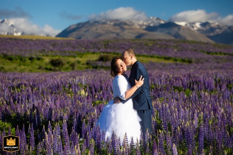 At Lake Tekapo in New Zealand, the groom kisses his new wife’s cheek as they bask in sunlight among a field of vibrant purple lupine flowers, the surrounding color and light capturing a sense of joy and serenity.