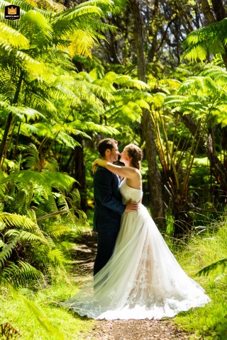 In Hawaii Volcanoes National Park, a couple pauses together in a patch of sunlight while hiking through the lush jungle, the image is highlighting adventure, natural beauty and quiet connection in the heart of the park.