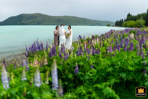 On the shore of Lake Tekapo, New Zealand, the couple share a quiet elopement ceremony surrounded by blooming purple and pink lupine flowers, the tranquil setting emphasizing intimacy and natural beauty on their wedding day.