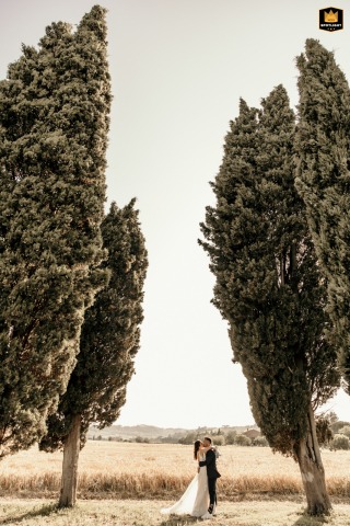 Couple Embraces Beneath Cypress Trees At Ribano Castle In Savignano Sul Rubicone, Italy Along the historic cypress-lined road at Ribano Castle in Savignano sul Rubicone, Italy, the couple shares a tender embrace beneath centuries-old trees, bathed in the warm glow of sunset light.