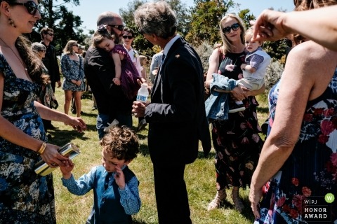 Wedding guests hanging out at a wedding at the UCSC Arboretum, Santa Cruz CA 