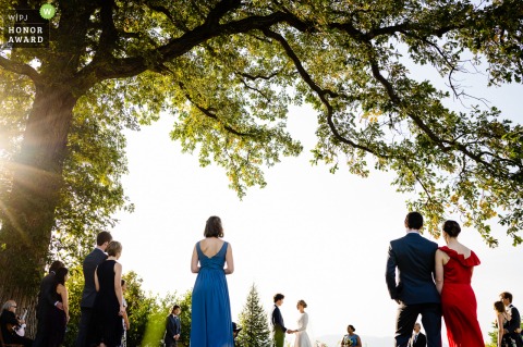 Vermont outdoor wedding photography in the sunshine at Shelburne Farms during A socially distanced ceremony under an oak tree.