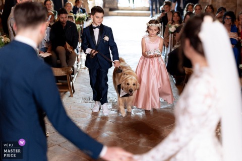 At Castello di Oliveto near Siena, a dog delivers the wedding rings during the ceremony, with young boy and girl flanking him.