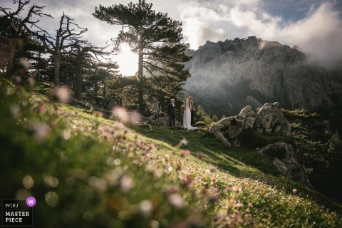 Bride and groom exchange vows in Corsica mountains, surrounded by vibrant wildflowers, under a clear sky during wedding ceremony.