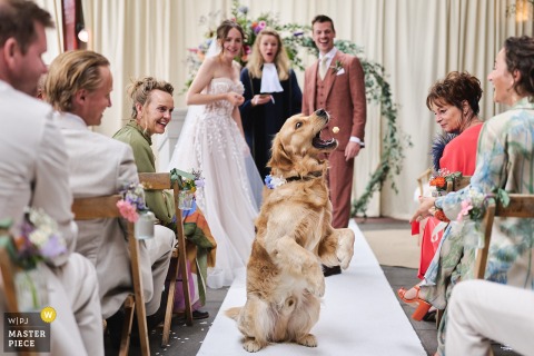 At a ceremony in Amsterdam, the photographer captures a charming moment as a dog sits up for a snack on the aisle runner, with the bride and groom watching from the altar, skillfully spotlighting delightful spontaneity.