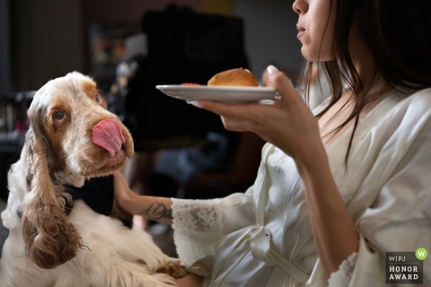 While the bride enjoys a quick snack in Cagliari, Sardinia, her dog Biagio begs for a bite of food just before the busy wedding day preparations officially get underway.