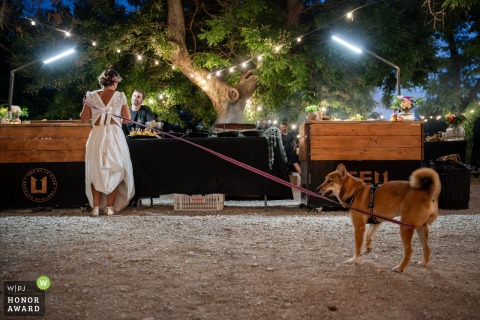 The bride shares a tender and quiet moment with her loyal dog on leash, featuring the beautiful outdoor landscape of Mauguio, France.