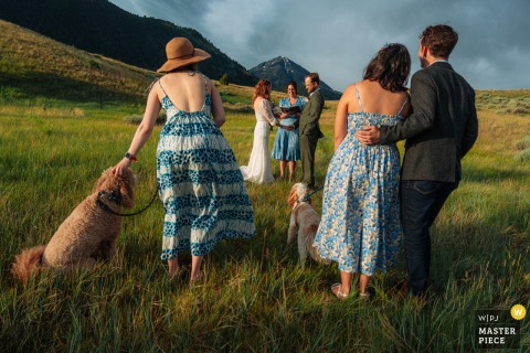 A couple elopes with friends and dogs in a Montana field, their intimacy captured from behind. The photographer’s technical skill preserves the candid joy and sweeping natural beauty of the moment.