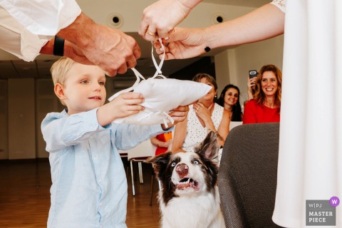 At the Brindas town hall wedding, an attentive young ring bearer stands next to a joyful dog with an expressive face, both focused on the ceremony.