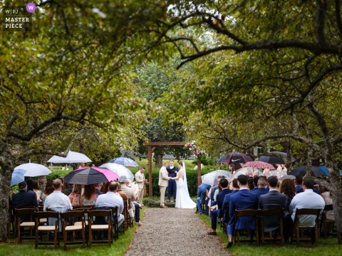 At The Grafton Inn in Vermont, guests sit beneath a canopy of colorful umbrellas in the rain, symmetrically framed in the lush green trees, as the couple exchanges vows in a powerful outdoor ceremony.