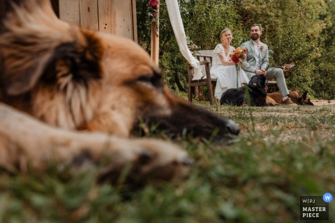 At Domaine des Loups in Niort, France, the couple sits with their dogs by their side during the secular ceremony, with one pup in the foreground. The scene captures love, companionship, and the joy of including pets in their special moment.