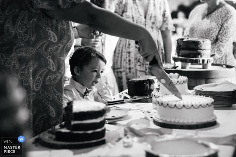 At Stockbridge Barn in Dorset, a young boy’s face peeks out from a crowd of women as he watches the cake cutting intently. The scene captures childhood anticipation and delight during a classic wedding moment.