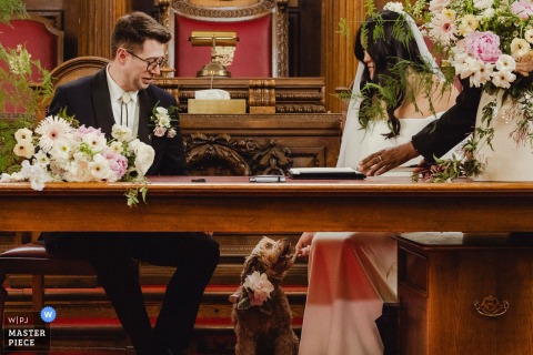 At Islington Town Hall In London, The Bride Pauses To Feed Her Dog During The Registry Signing. At Islington Town Hall in London, the bride takes a moment during registry signing to lovingly feed her dog, blending tradition with a personal touch.