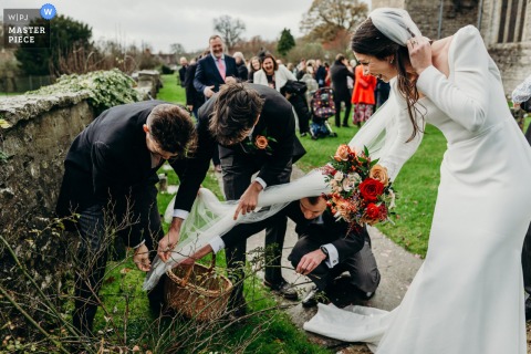 Grandmothers Snap Photos Of Kids While Grandfathers Enjoy Cake At A Family-Centric Reception In Breeze, Noord Brabant. At Pennard House in Somerset, the bride’s veil becomes tangled in a rose bush, prompting ushers to gently work together to free it.