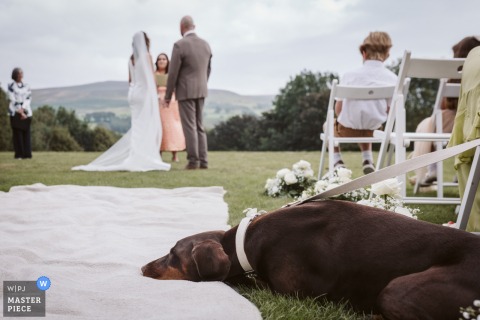 Outside The Saddle Room in Middleham, North Yorkshire, the couple’s dog dozes contentedly throughout the outdoor wedding ceremony, oblivious to the excitement and celebration around her.