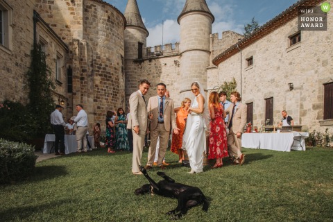 On the lawn at Chateau de Lisse, Réaup-Lisse, the newlyweds pause to watch their dogs resting peacefully, enjoying a tranquil moment together amidst their celebration.