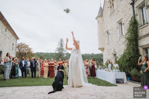 As The Bouquet Flies Through Air At Chateau De Lisse, Lot Et Garonne, France, The Newlyweds’ Dog Watches Intently. At Chateau de Lisse in Réaup-Lisse, Lot et Garonne, France, the bouquet is tossed through the air under the watchful gaze of the newlyweds’ attentive dog during the outdoor reception.