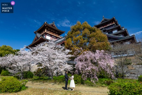 A private ceremony at Momoyama-jo Castle in Kyoto, Japan arrives in step with spring cherry blossoms, the season and the couple seeming to share the same soft breath.