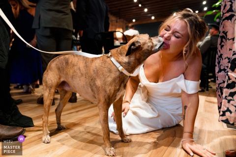 On the floor at Bighorn Bottle Shop ceremony location in Anaconda, Montana, the bride lies down while her dog licks her face, an affectionate and wonderfully unruly reception scene.