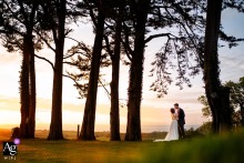 Artistic Sunset Wedding Portrait Among Trees At Higher Eggbeer Farm Devon England Higher Eggbeer Farm, Devon — The couple stands between the trees at sunset, surrounded by a repeating pattern of tall trunks that fill the frame, creating an artistic and natural wedding portrait on the farm.