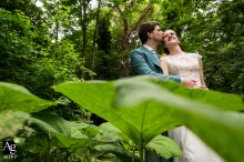 Large Green Leaves Provide A Lush Natural Backdrop For This Professional Wedding Portrait In Rotterdam Netherlands Large green leaves provide a lush, natural backdrop for this lovely couple during their professional wedding photoshoot at a vibrant outdoor location in the city of Rotterdam.