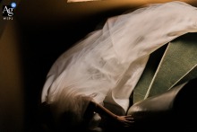   A close-up at a venue in São Paulo reveals intricate details of the wedding dress, focusing on fine textures and delicate fabric in an elegant bridal detail image.
