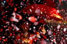   As the bride departs her home in Zhanjiang, Guangdong, flower petals are tossed in the air, creating a detail-filled scene as she steps toward the next chapter of her day.