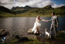 At Blea Tarn in Cumbria, England, the couple shares a mountain elopement portrait with their pup, surrounded by the rugged beauty of the Lake District landscape.