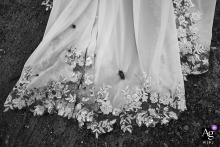 A Muddy Dress And Curious Bug Add Humor In Amsterdam, Noord Holland Park In a park in Amsterdam, Noord Holland, Netherlands, the bride's wedding dress, now marked with dirt and an unexpectedly large bug, becomes a humorous reminder that unforgettable wedding moments often come with a little adventure.