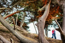 This lovely engaged couple in San Francisco had a lifestyle session framed by a big cypress tree, creating a forest scene of love