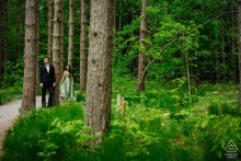 Couple poses among pine trees in the Catskills, NY, dwarfed by towering trunks and surrounded by abundant greenery, highlighting their connection within the lush, peaceful forest setting.