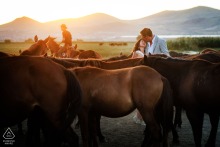 A couple stands surrounded by dozens of horses during their pre-wedding session in a vast open field at a Cappadocia venue in Kayseri, Turkey, evoking a sense of natural beauty and romance.