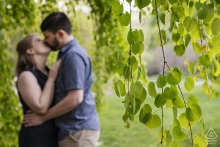 A couple shares a quiet kiss beneath a tree with cascading green leaves at Acton Arboretum in Massachusetts during their pre-wedding session.